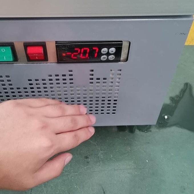 수직 풍랭식 냉각된 3 도어 그래스 대용량 음료수 상자 5