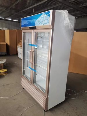 Upright 2 Door Glass Commercial Freezer Drink Fan Cooling