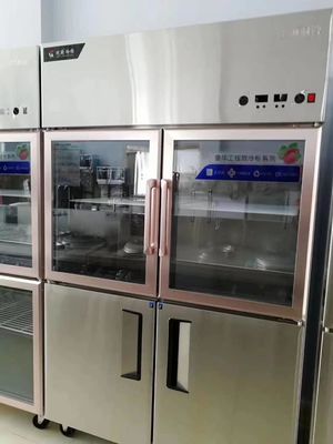 Double Door Stainless Steel Freezers 70cm Wide 1.2m
