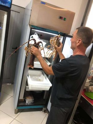 Stainless Steel Double Door Reefer Freezer Freezer