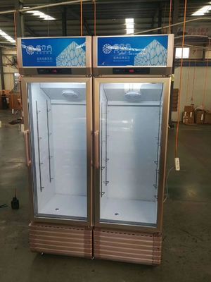 Double door refrigerator commercial freezer  freezerbeer freezer