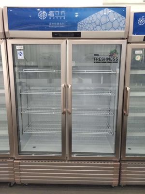 Double door refrigerator commercial freezer  freezerbeer freezer