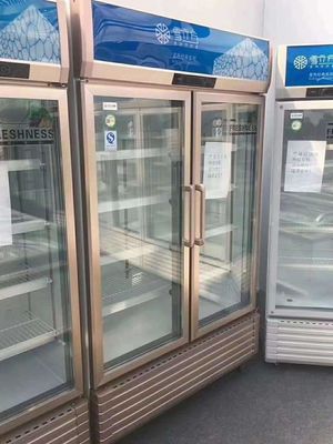 Double door refrigerator commercial freezer  freezerbeer freezer