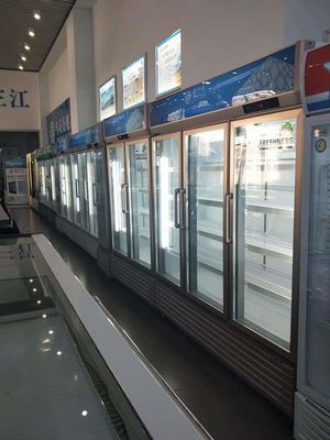 Double door refrigerator commercial freezer  freezerbeer freezer
