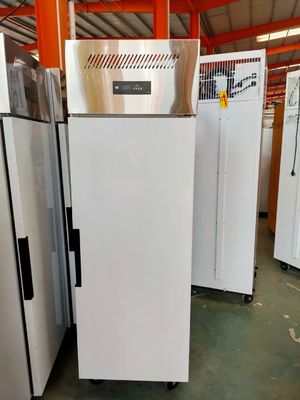 Stainless Steel Double Door Reefer Freezer Freezer