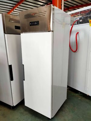 Stainless Steel Double Door Reefer Freezer Freezer